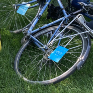 2013 Bianchi Volpe Blue