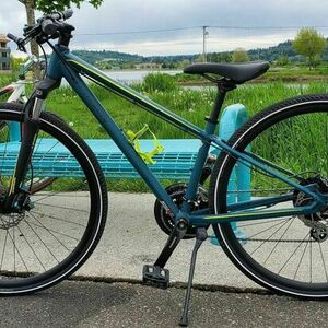 2020 Specialized Ariel Hydro Disc - XS Frame Green