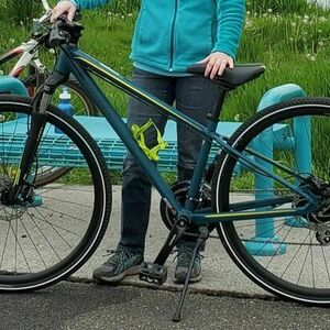 Specialized Teal