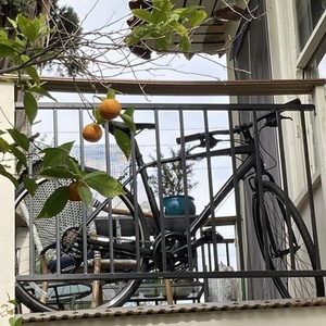 2023 Giant Escape 3 M Black