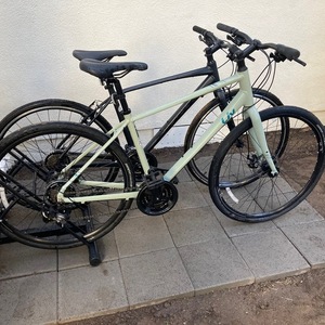 2022 Giant Alight 3 DD Disc M Desert Sage Green