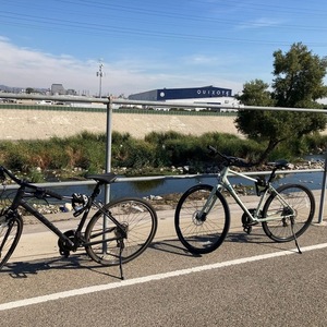 2022 Giant Alight 3 DD Disc M Desert Sage Green