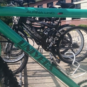 Univega Alpina Uno Green