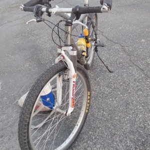 Specialized Rockhopper A1 FS Silver, gray or bare metal