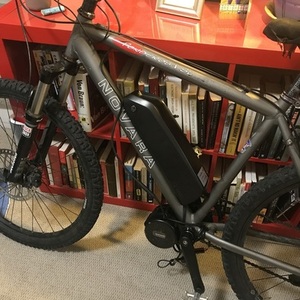 Novara Ponderosa Silver, gray or bare metal