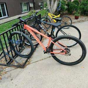 2022 Specialized Hardtail Orange