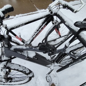 Ride1Up Diamond Silver, gray or bare metal