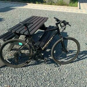 2022 Giant Roam Disc 4 Black