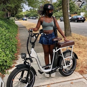 Rad Power Bikes Rad runner Plus Silver, gray or bare metal