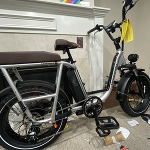Rad Power Bikes Rad runner Plus Silver, gray or bare metal
