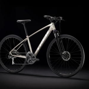 2021 Trek Dual Sport 2 WSD Silver, gray or bare metal