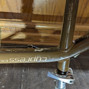 Giant Cypress EX Brown