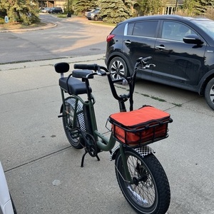 2022 Rad Power Bikes Radrunner Green