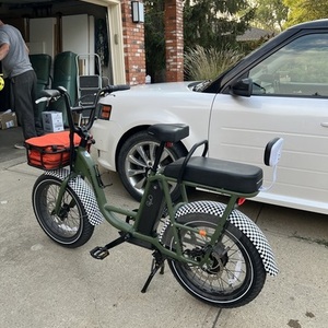 2022 Rad Power Bikes Radrunner Green