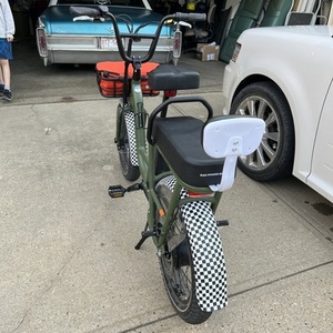 2022 Rad Power Bikes Radrunner Green