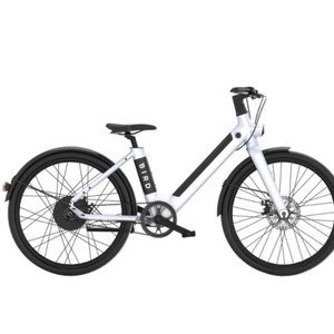 2023 Bird V-frame White