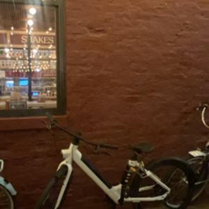 2023 Bird V-frame White