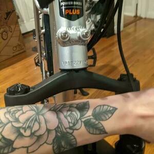 2022 Rad Power Bikes Silver, gray or bare metal