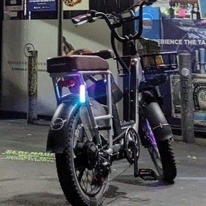 2022 Rad Power Bikes Silver, gray or bare metal
