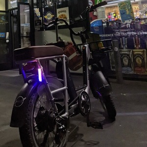 2022 Rad Power Bikes Silver, gray or bare metal
