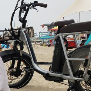 2022 Rad Power Bikes Silver, gray or bare metal