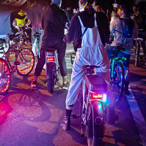 2022 Rad Power Bikes Silver, gray or bare metal