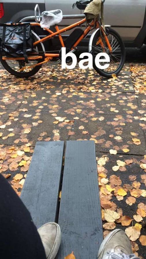 Cargo Bike Rear photo