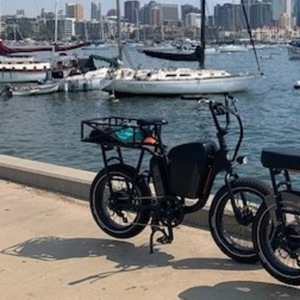 2020 Rad Power Bikes RadRunner Black