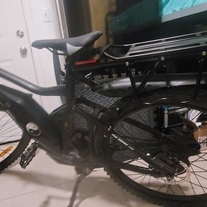 2022 Ecotric Tornado Black