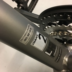 2016 Giant 16 Giant Escape City Lrg Gry Silver or Gray