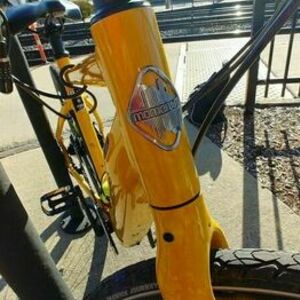 2022 Momentum Voya E+3 20MPH Yellow or Gold