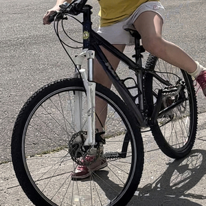 2011 Kona Lanai Hard Tail Purple