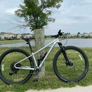 2022 Specialized ROCKHOPPER EXPERT Silver, gray or bare metal