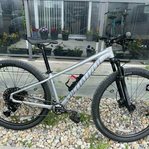 2022 Specialized ROCKHOPPER EXPERT Silver, gray or bare metal