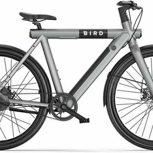 Bird A Frame Silver, gray or bare metal