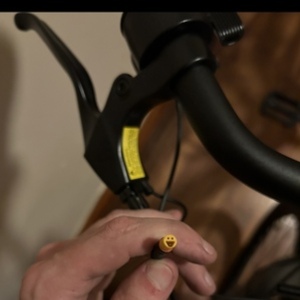 Bird A Frame Silver, gray or bare metal