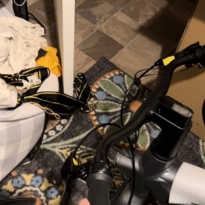 Bird A Frame Silver, gray or bare metal