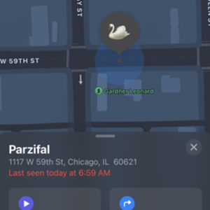 Bird A Frame Silver, gray or bare metal