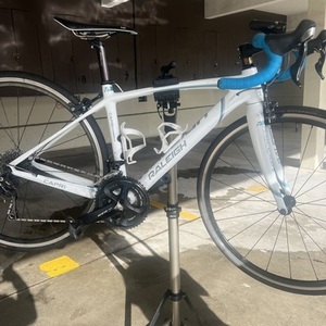 2011 Raleigh Capri 3 carbon White