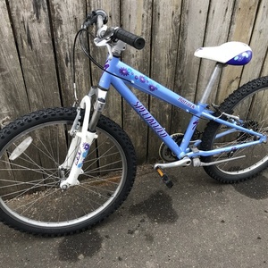 2004 Specialized Hotrock 24 7-Speed Girls