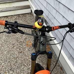 2021 Pivot Firebird Pro XT/XTR Green and Orange