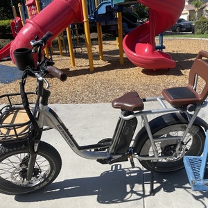 2022 Rad Power Bikes Rad runner plus Silver, gray or bare metal