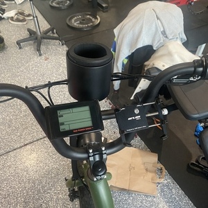 2022 Rad Power Bikes Rad runner 2 Green