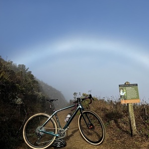 2022 Trek Checkpoint Blue