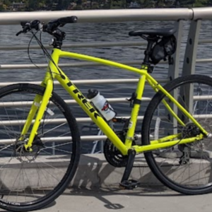 2020 Trek 1 FX Disc Yellow or Gold and Black