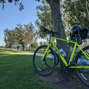 2020 Trek 1 FX Disc Yellow or Gold and Black