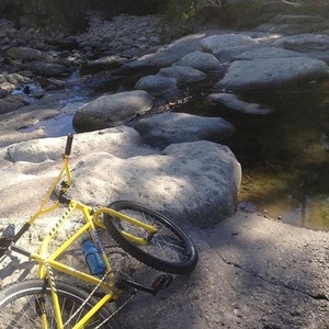 2015 Transition Bikes Klunker Yellow or Gold