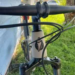 2023 Salsa Rangefinder Brown