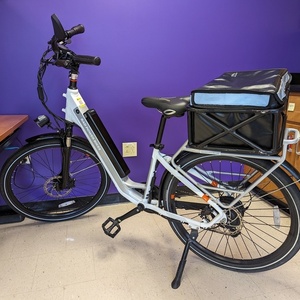 2023 Rad Power Bikes RadCity 5 Plus White