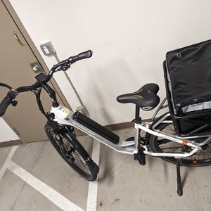 2023 Rad Power Bikes RadCity 5 Plus White